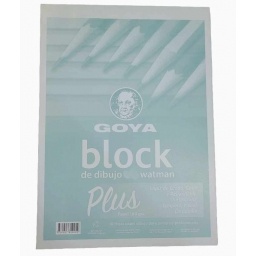 BLOCK DIBUJO GOYA 180GR. 14 WATMAN